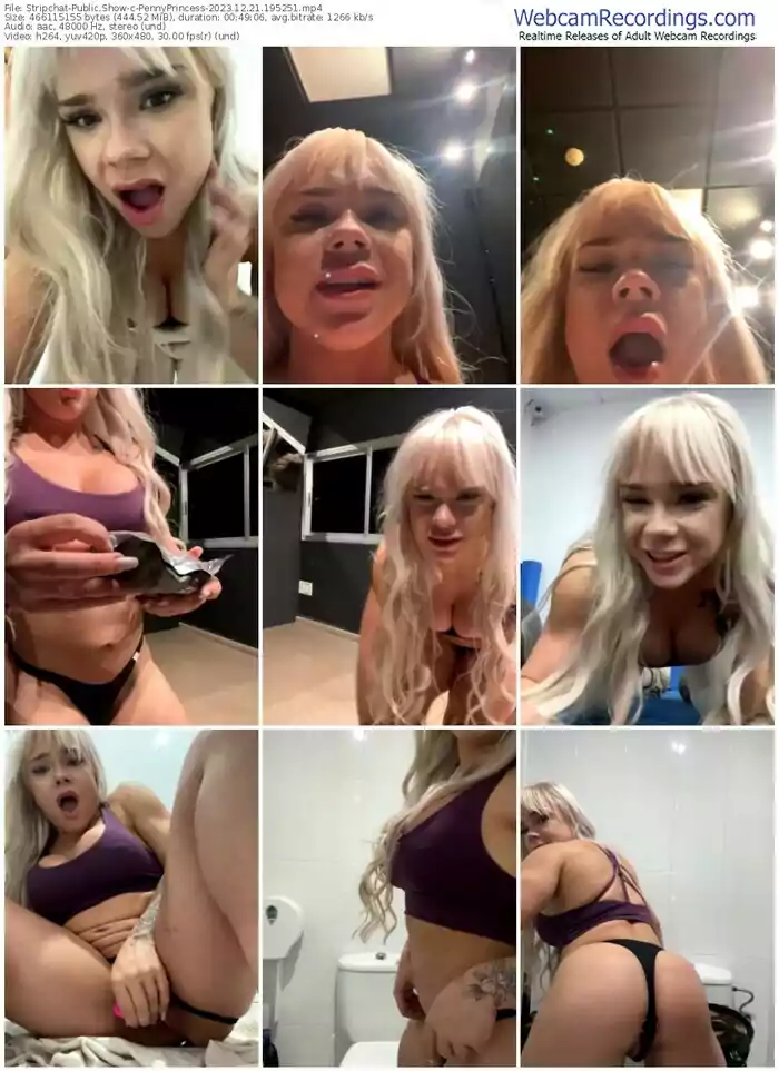 stripchat-pennyprincess-12-21-2023-19-52-51