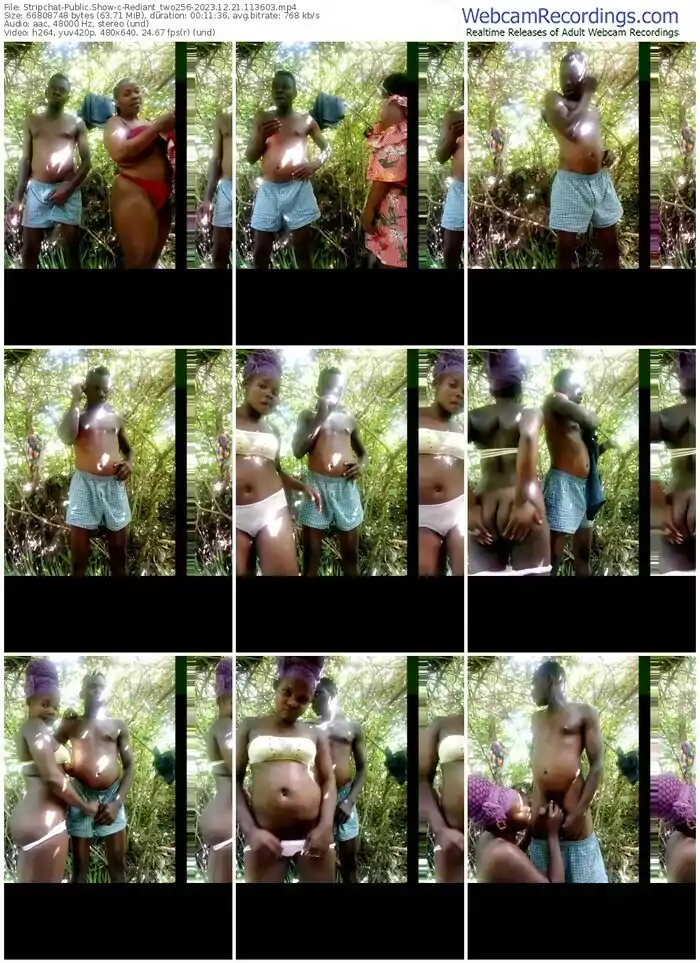 stripchat-rediant_two256-12-21-2023-11-36-03