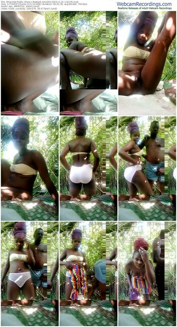 stripchat-rediant_two256-12-21-2023-13-21-05