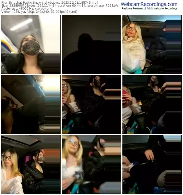 stripchat-shybabyss-12-21-2023-18-57-45