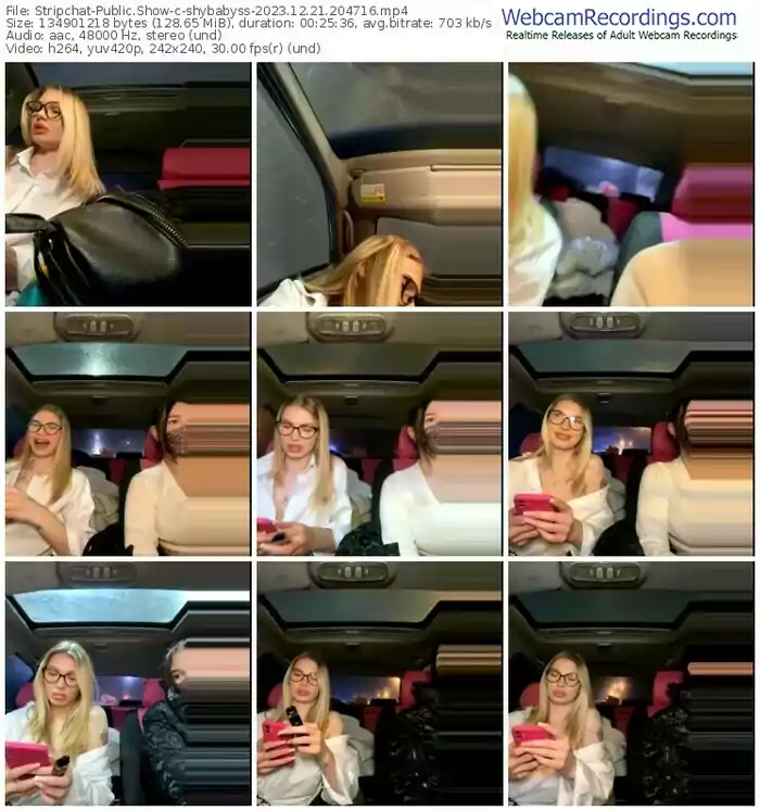 stripchat-shybabyss-12-21-2023-20-47-16