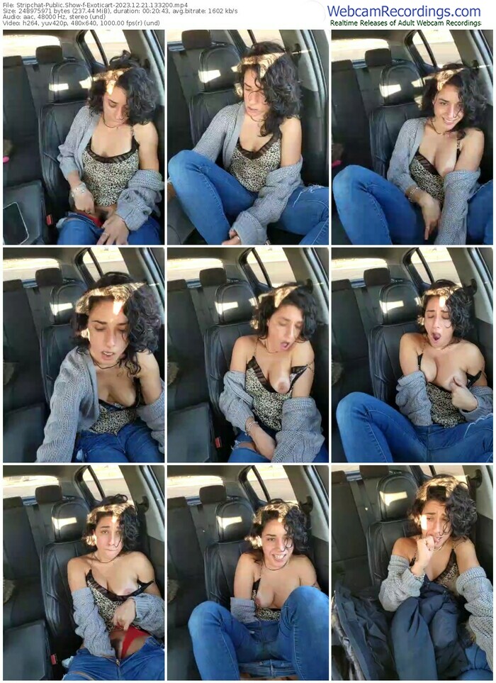 stripchat-exoticart-12-21-2023-13-32-00
