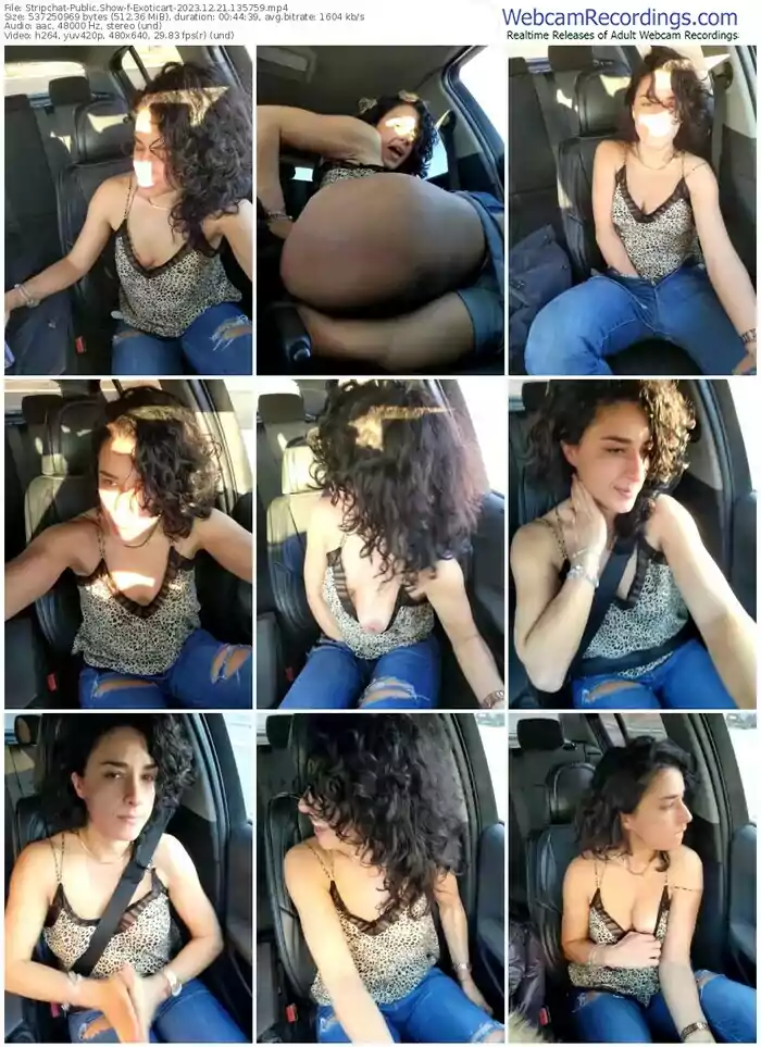 stripchat-exoticart-12-21-2023-13-57-59