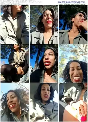 stripchat-goldenlace-12-21-2023-13-32-38