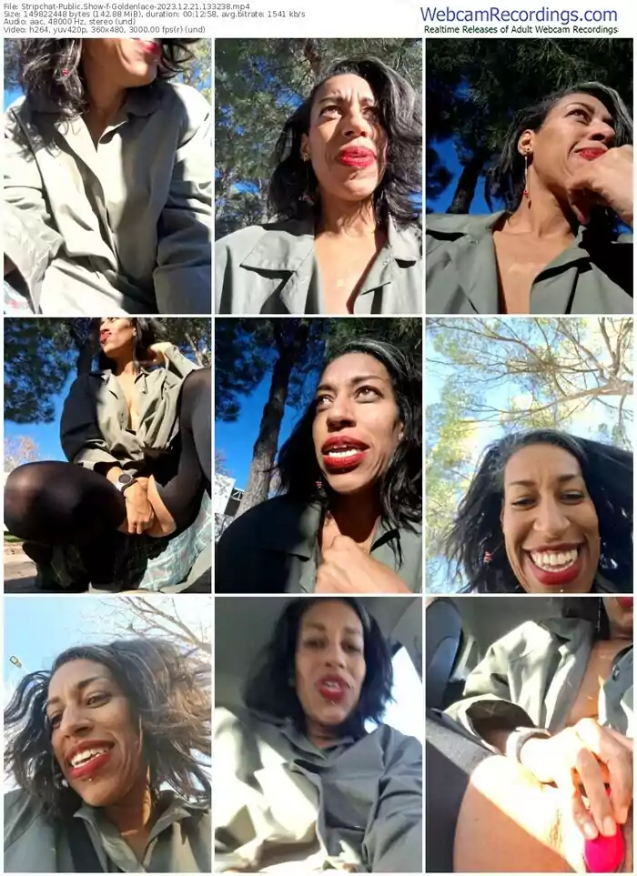 stripchat-goldenlace-12-21-2023-13-32-38