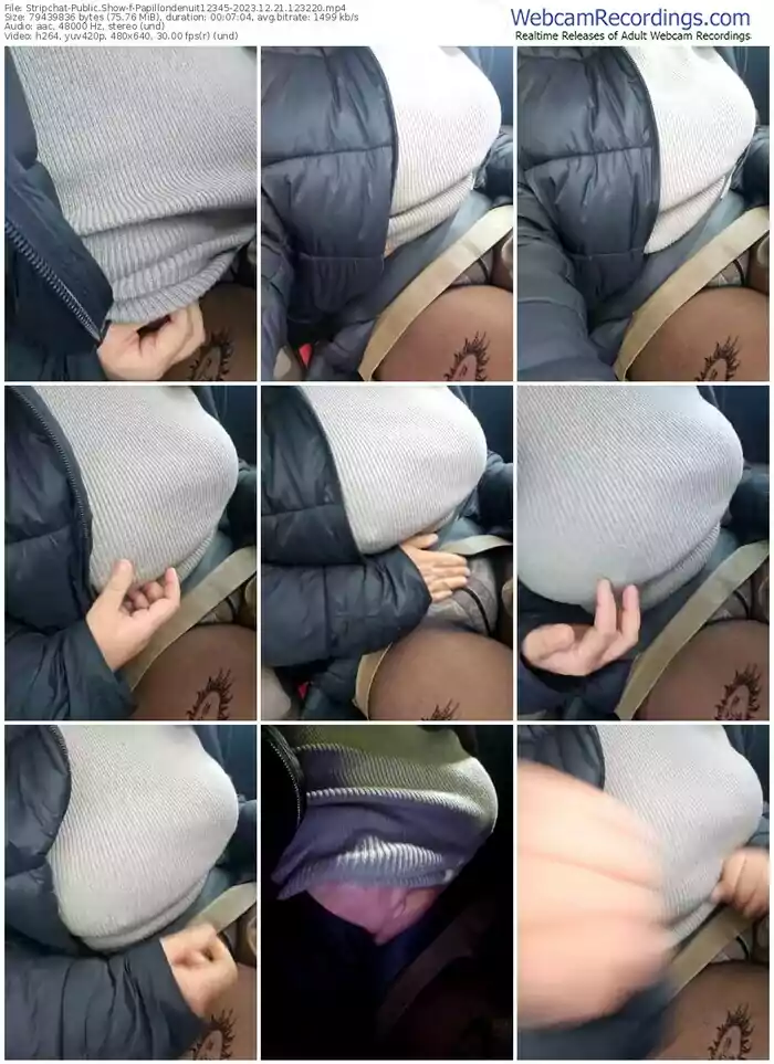 stripchat-papillondenuit12345-12-21-2023-12-32-20