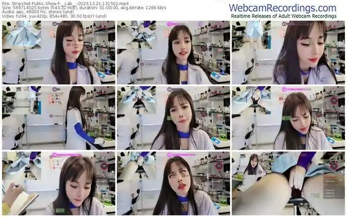 stripchat-__lab__-12-21-2023-13-15-02