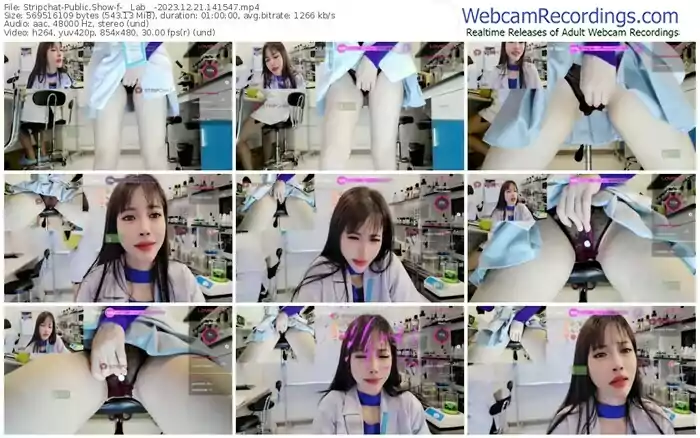 stripchat-__lab__-12-21-2023-14-15-47