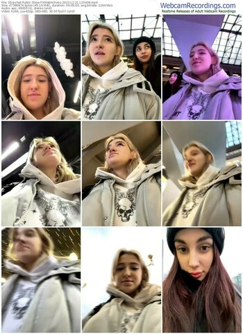 stripchat-littlebitchess-12-21-2023-12-04-08