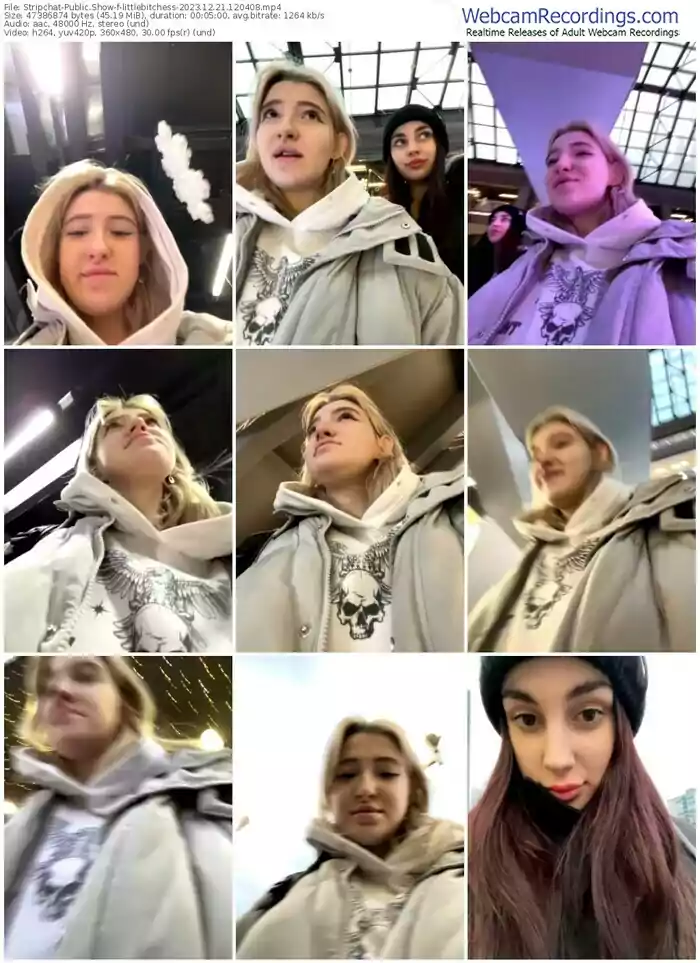 stripchat-littlebitchess-12-21-2023-12-04-08