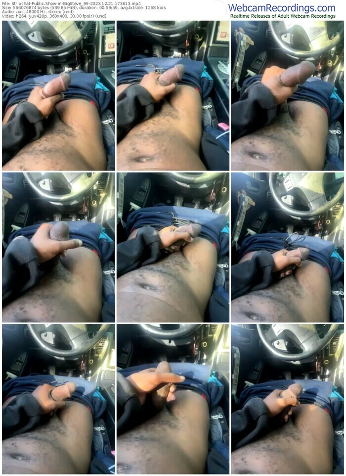 stripchat-bigsteve_99-12-21-2023-17-36-13