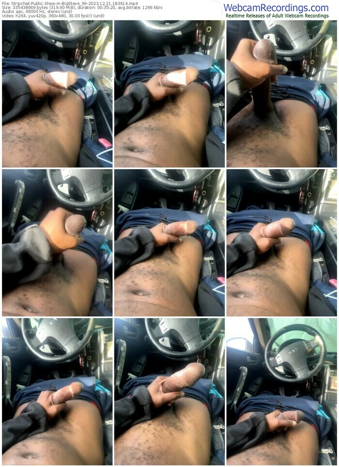 stripchat-bigsteve_99-12-21-2023-18-36-14