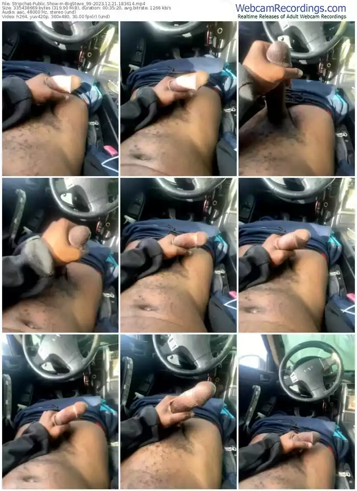 stripchat-bigsteve_99-12-21-2023-18-36-14