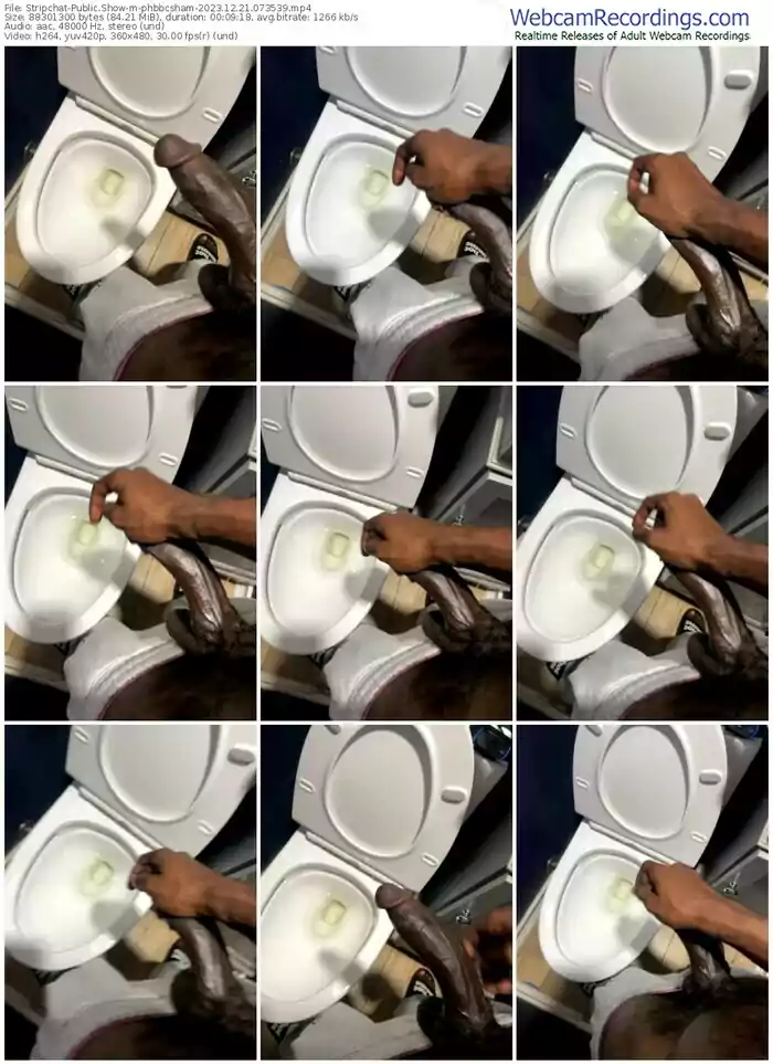 stripchat-phbbcsham-12-21-2023-07-35-39