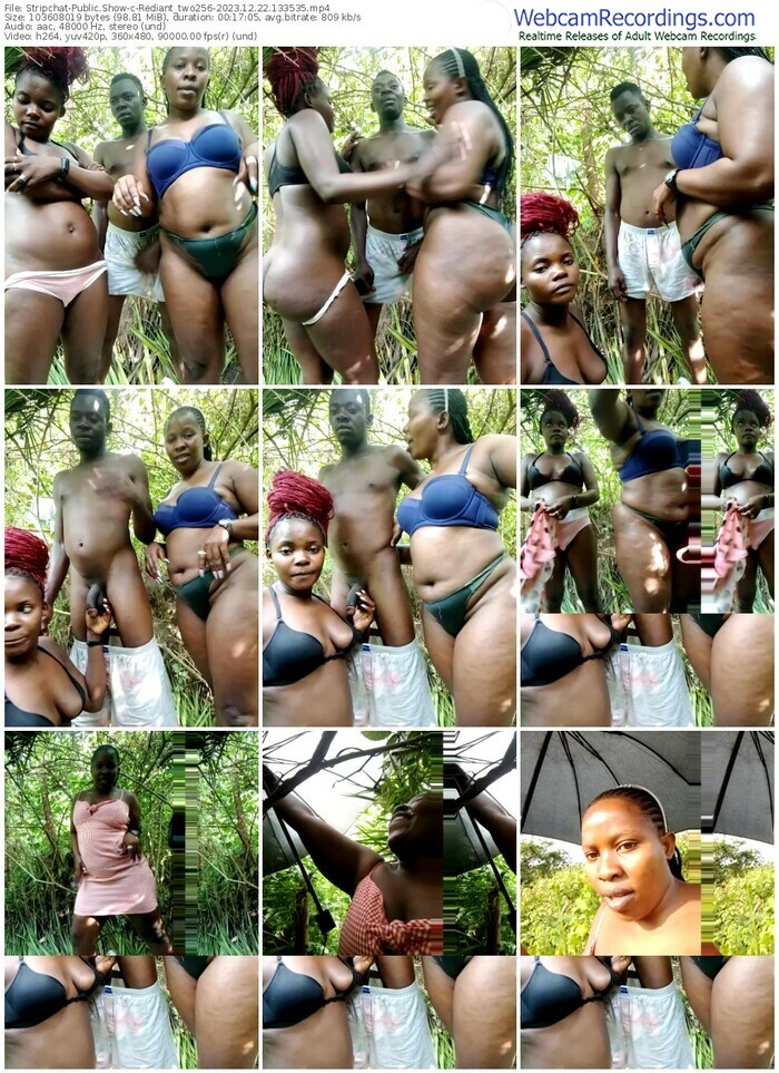 stripchat-rediant_two256-12-22-2023-13-35-35