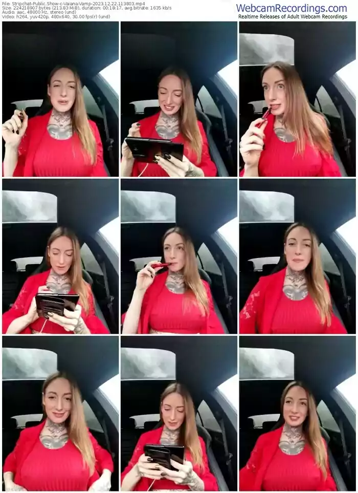 stripchat-vaiana-vamp-12-22-2023-11-38-03