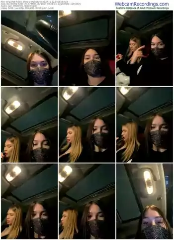 stripchat-shybabyss-12-22-2023-14-13-33