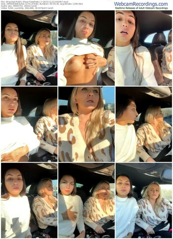 stripchat-aesthetic_v-12-22-2023-04-29-07