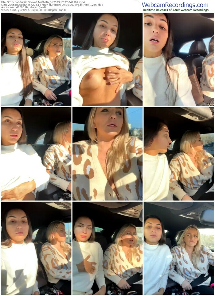 stripchat-aesthetic_v-12-22-2023-04-29-07