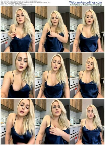 stripchat-aesthetic_v-12-22-2023-11-40-19