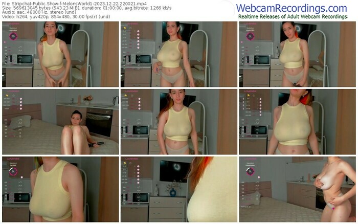 stripchat-melonsworld1-12-22-2023-22-00-21