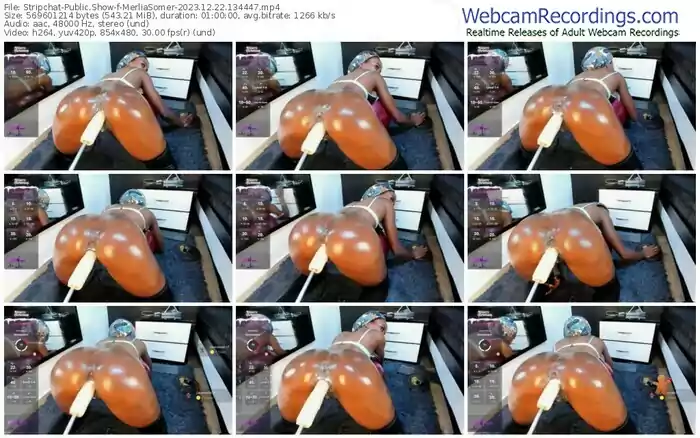 stripchat-merliasomer-12-22-2023-13-44-47