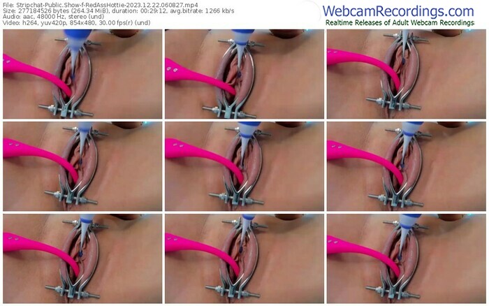 stripchat-redasshottie-12-22-2023-06-08-27