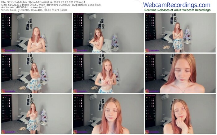 stripchat-rosewellsk-12-22-2023-02-14-20