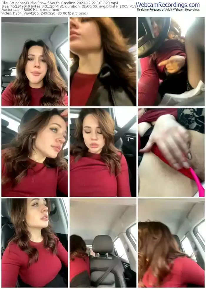 stripchat-south_carolina-12-22-2023-10-13-23