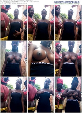 stripchat-swit_virgin22-12-22-2023-06-09-44