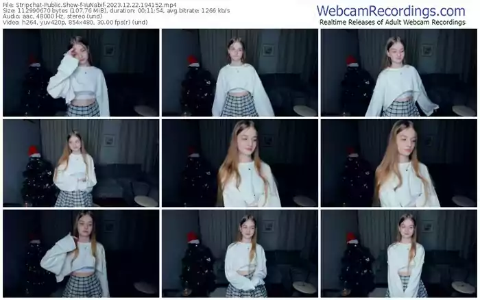 stripchat-yunabif-12-22-2023-19-41-52