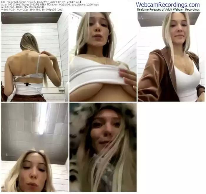 stripchat-_hollyway_-12-22-2023-14-30-47
