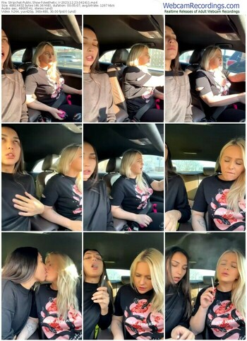 stripchat-aesthetic_v-12-23-2023-04-24-11