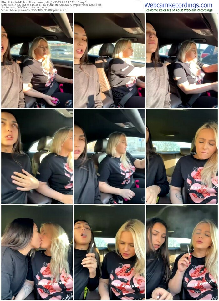 stripchat-aesthetic_v-12-23-2023-04-24-11