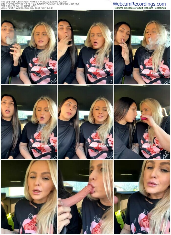 stripchat-aesthetic_v-12-23-2023-04-30-10