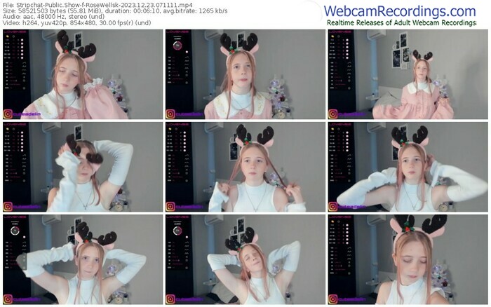 stripchat-rosewellsk-12-23-2023-07-11-11