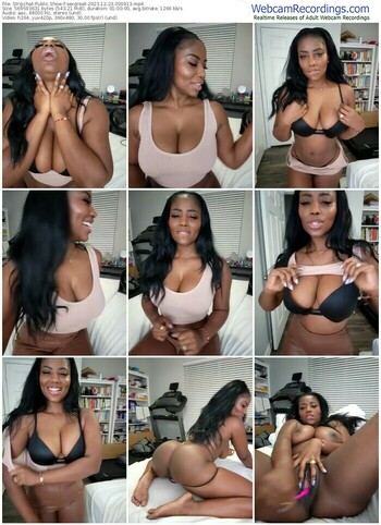 stripchat-sexgreat-12-23-2023-00-09-13