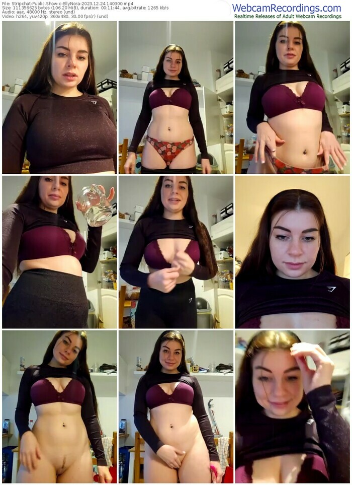 stripchat-ellynora-12-24-2023-14-03-00