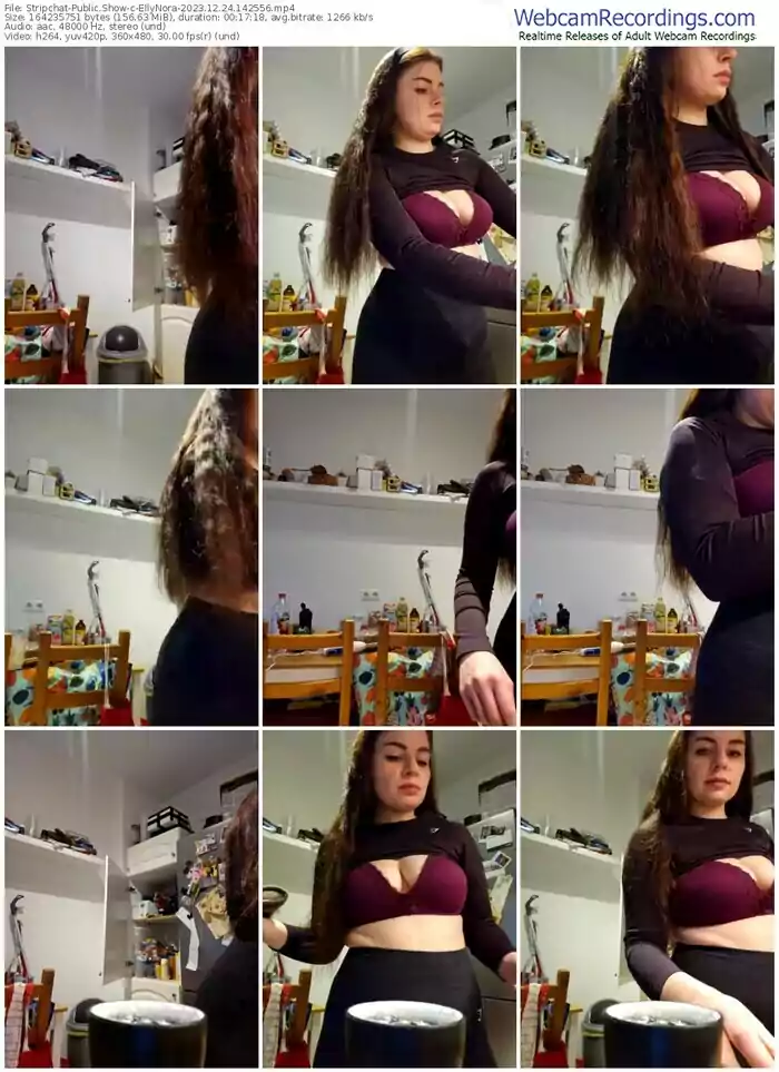 stripchat-ellynora-12-24-2023-14-25-56