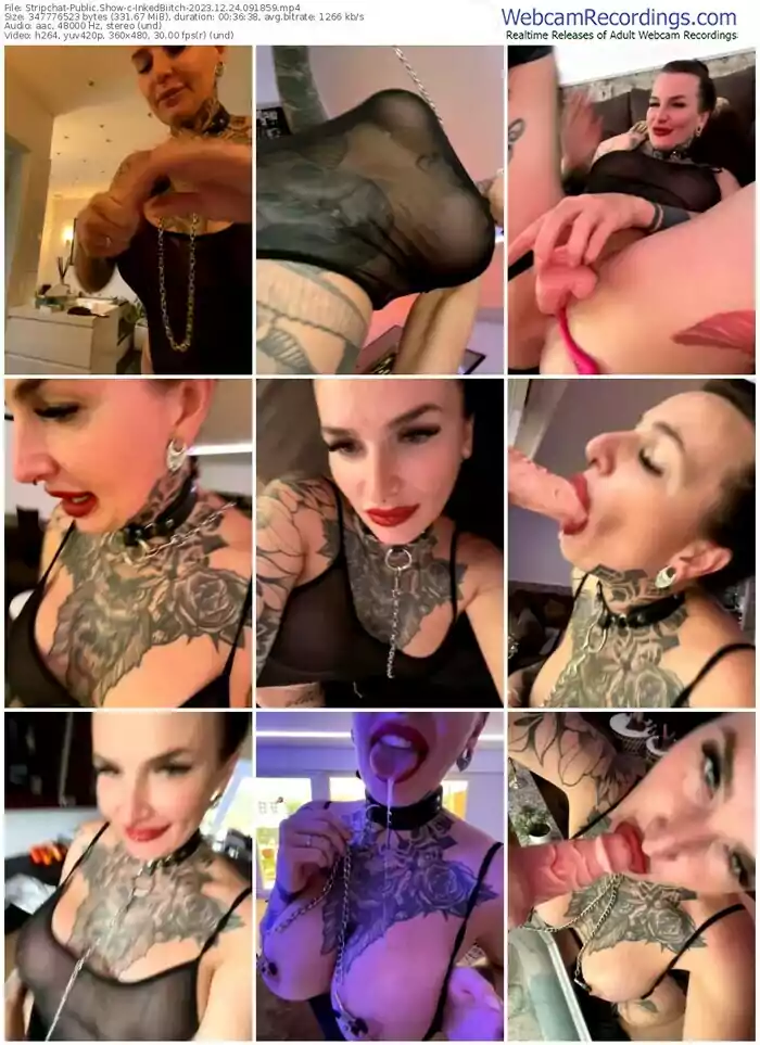 stripchat-inkedbiitch-12-24-2023-09-18-59
