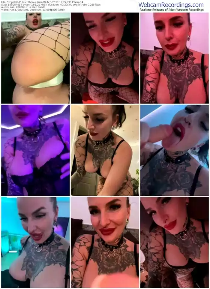 stripchat-inkedbiitch-12-24-2023-21-11-54