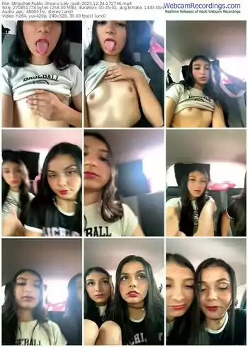 stripchat-loly_pink-12-24-2023-17-27-46