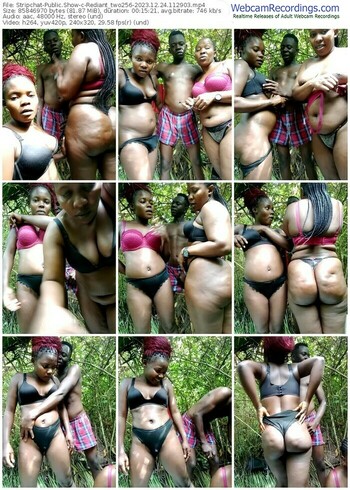 stripchat-rediant_two256-12-24-2023-11-29-03