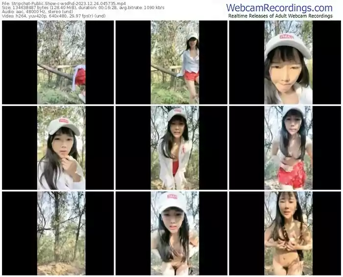 stripchat-wsdhd-12-24-2023-04-57-35