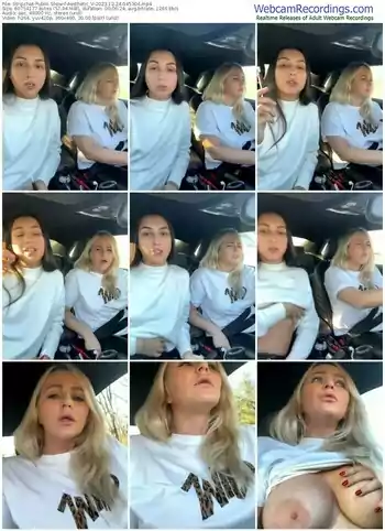 stripchat-aesthetic_v-12-24-2023-04-53-04