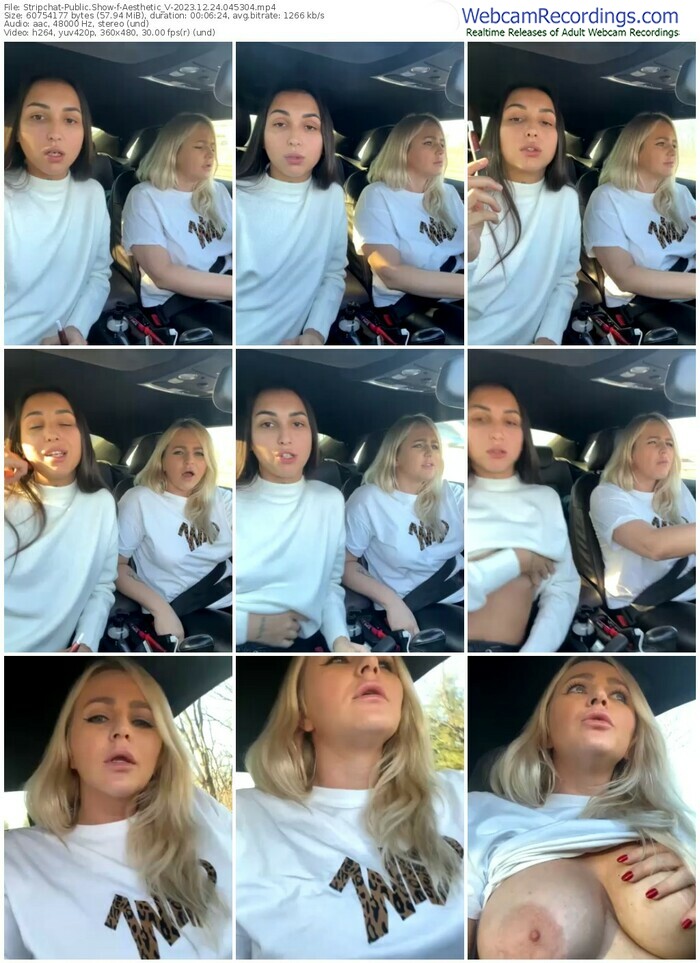 stripchat-aesthetic_v-12-24-2023-04-53-04