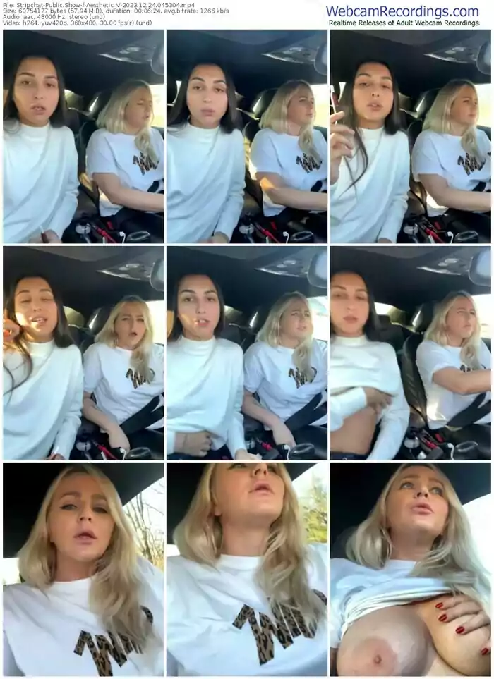 stripchat-aesthetic_v-12-24-2023-04-53-04