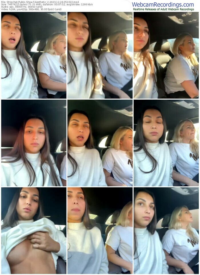 stripchat-aesthetic_v-12-24-2023-05-10-22