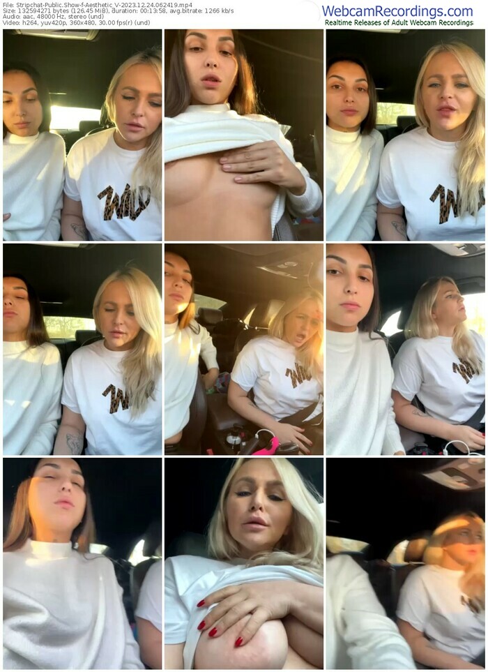 stripchat-aesthetic_v-12-24-2023-06-24-19