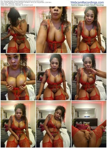 stripchat-kandixlwood-12-24-2023-14-40-11